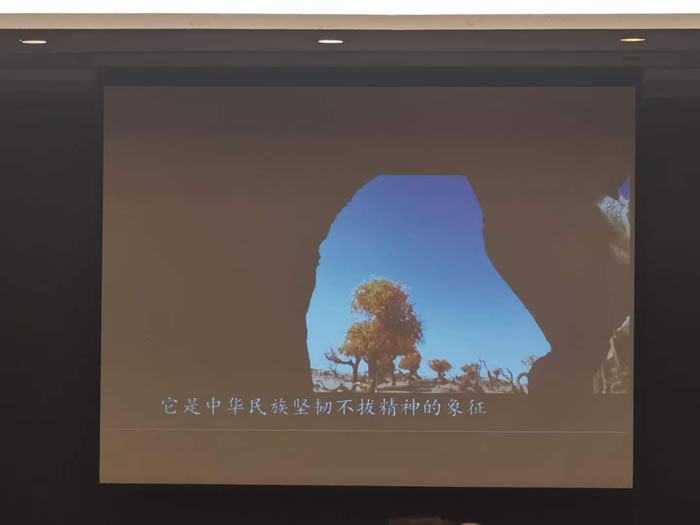 綿陽(yáng)中旅行假日旅行社舉行胡楊林、南疆專(zhuān)列推薦會(huì )